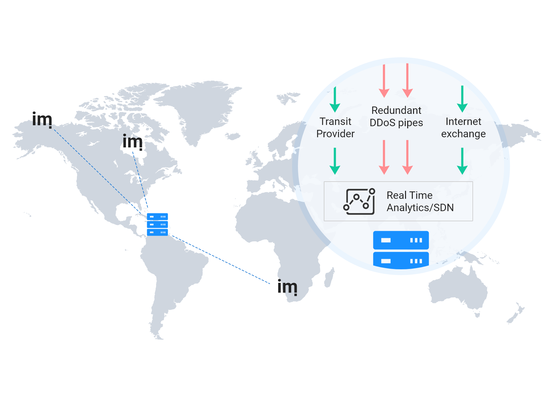 DDoS Protection